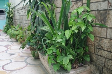 Onafhankelijke Studio La Havane 180306