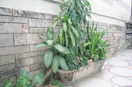 Onafhankelijke Studio La Havane 180306