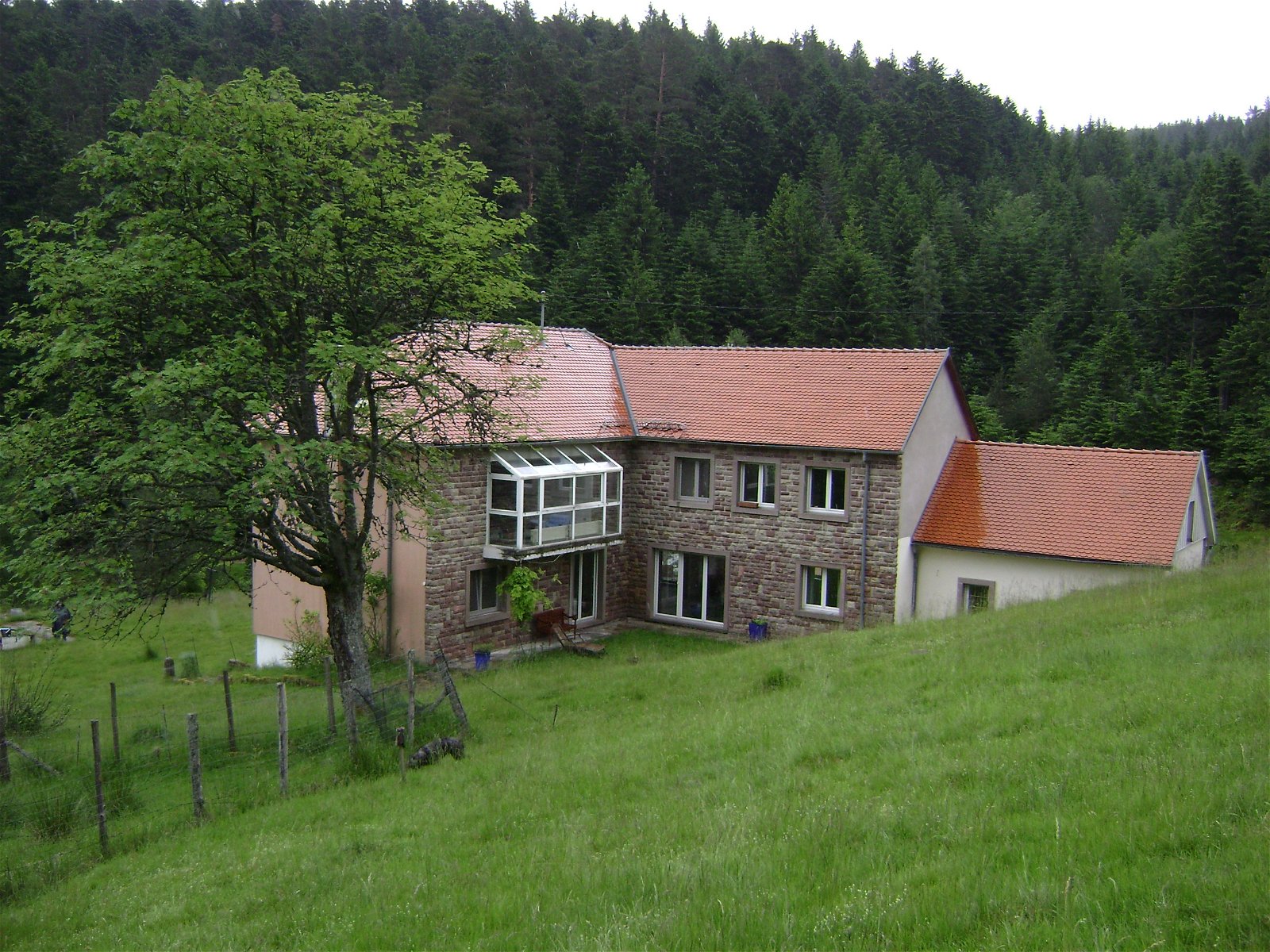 Onofhängeg Studio Wangenbourg-Engenthal 143103