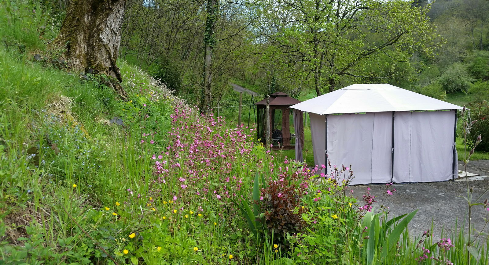 Chambre Chez L'habitant Brive-la-Gaillarde 132737