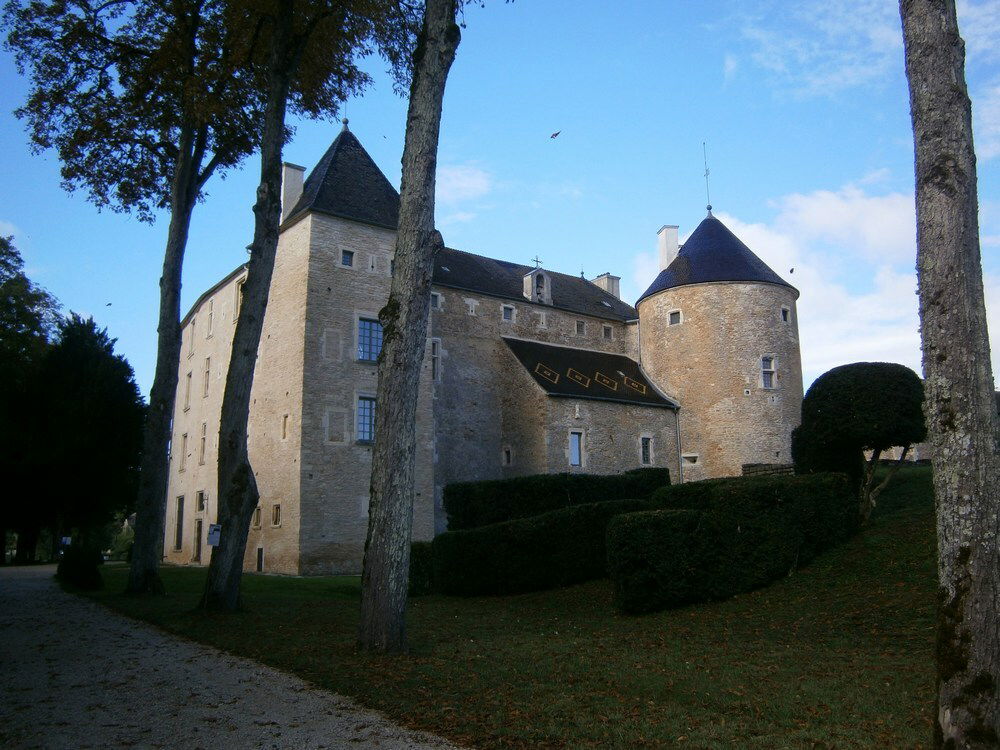 Estudio Independiente Sennecey-le-Grand 145387