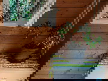 Gastfamilie Sainte-Marie 659350-5