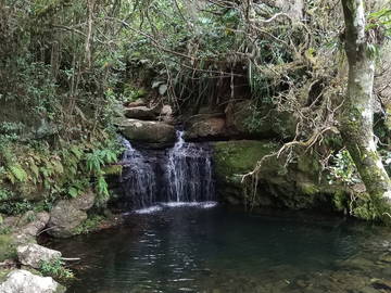 Gastfamilie Sainte-Marie 659350-8