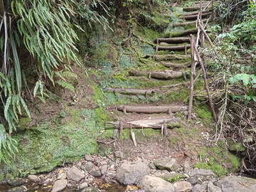 Gastfamilie Sainte-Marie 659350-10