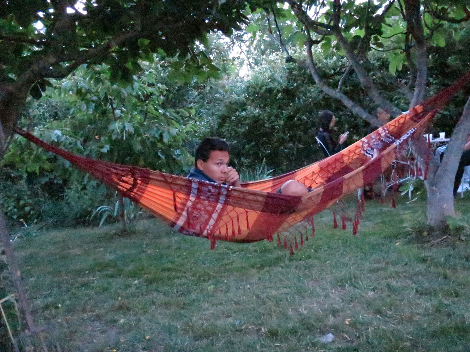 Famiglia Mulhouse 253625