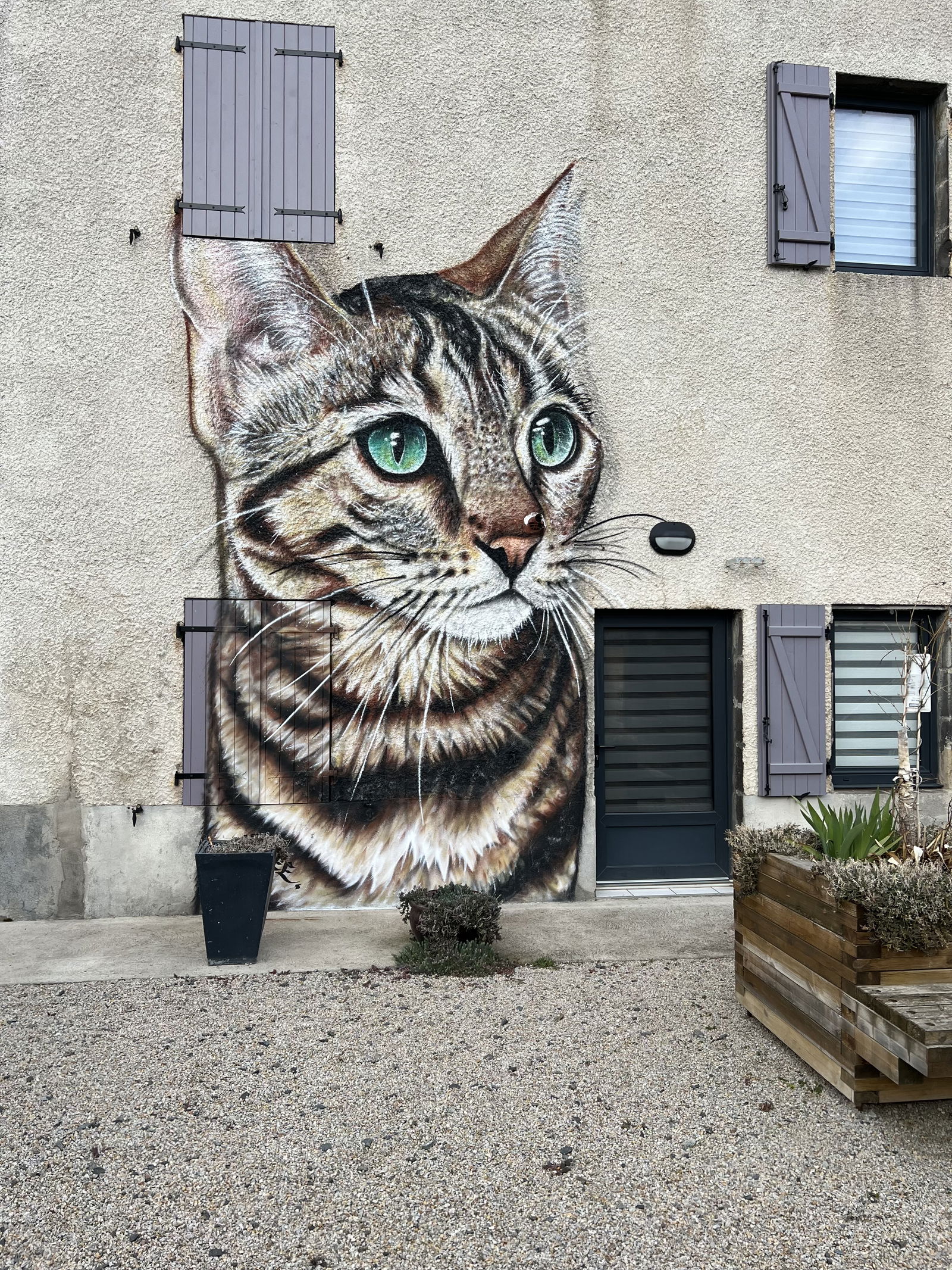 Quedarse En Casa Ménétrol 369944