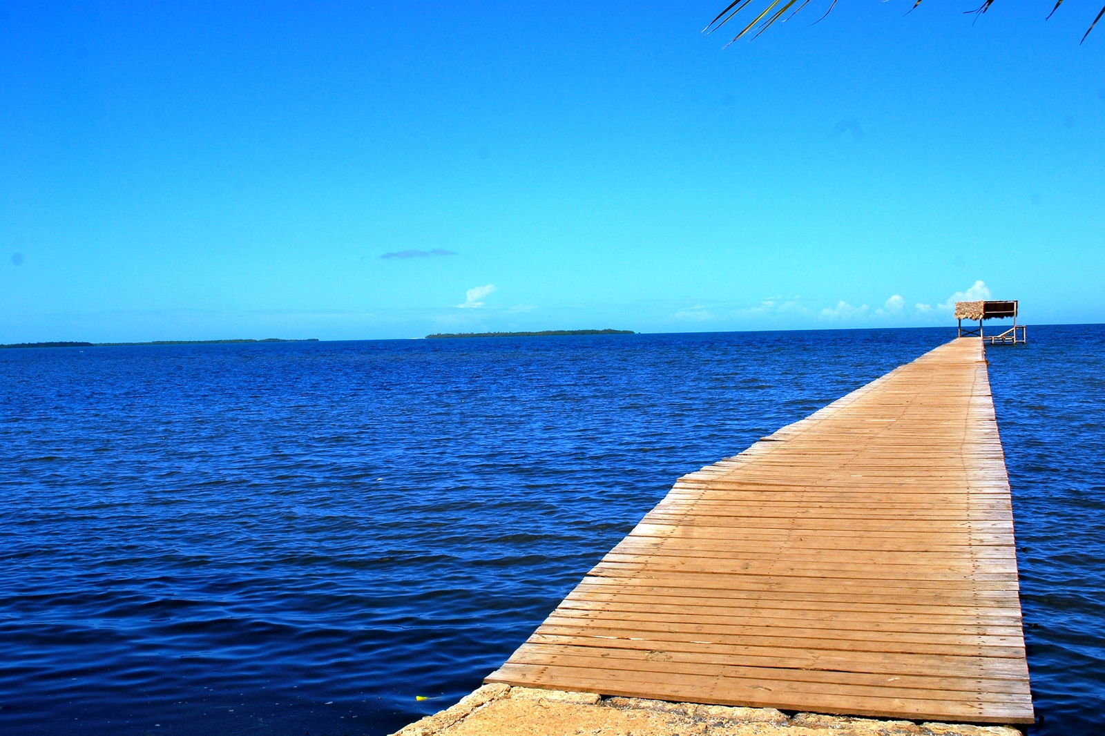 Famiglia Viñales 227020