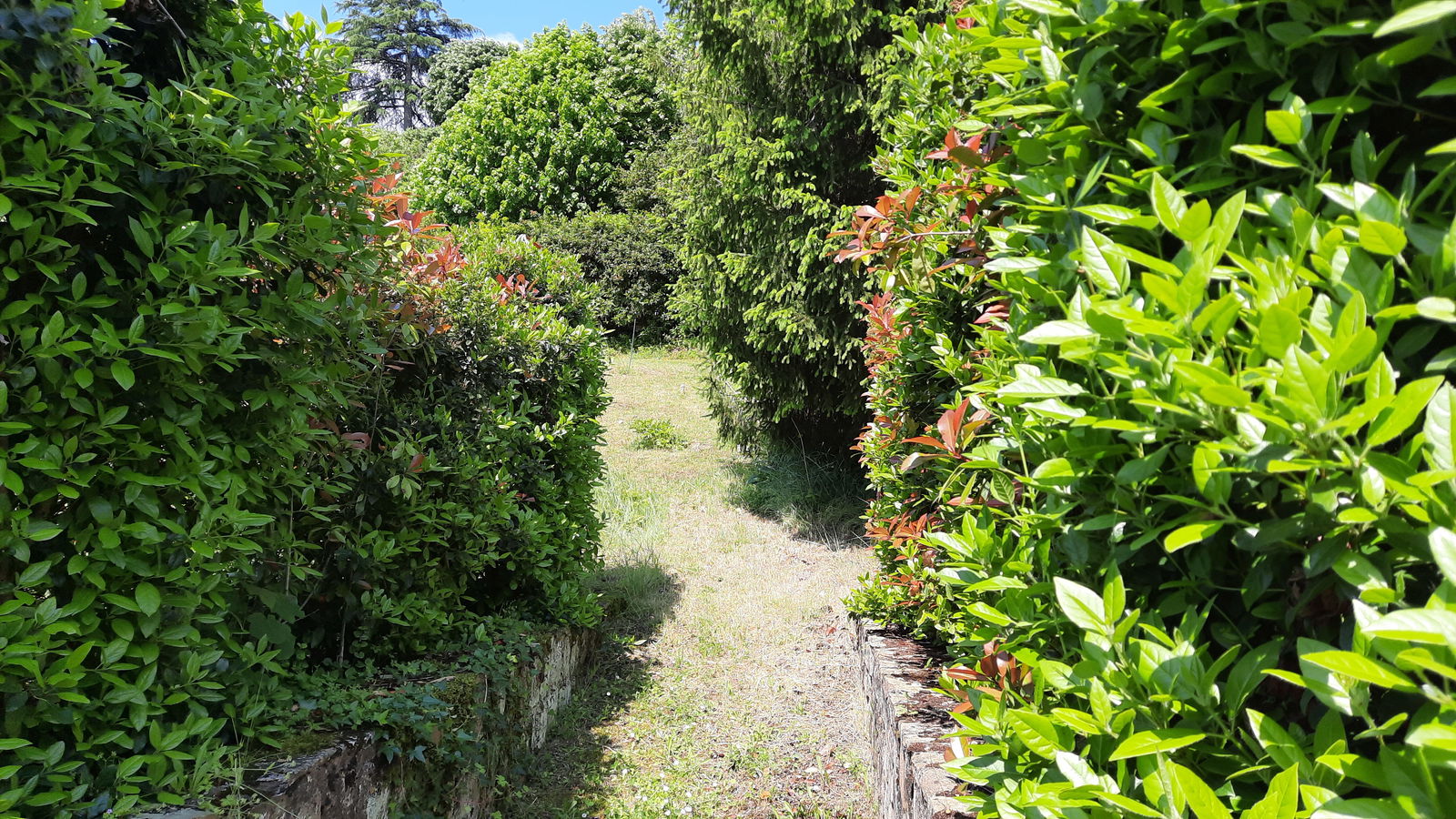 Tutta La Casa Vouvray 253554