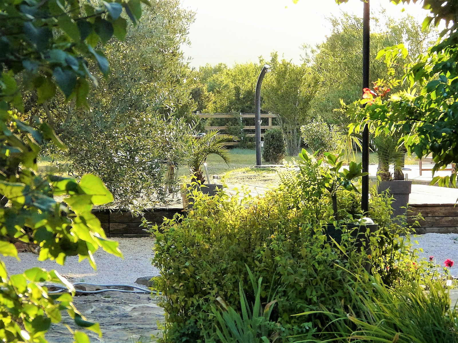 Camere Per Gli Ospiti Gras 159211