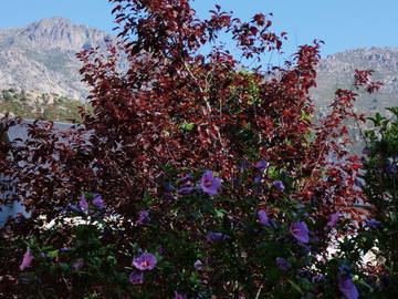 Homestay for rent in El Boalo - photo 8: Other room-8