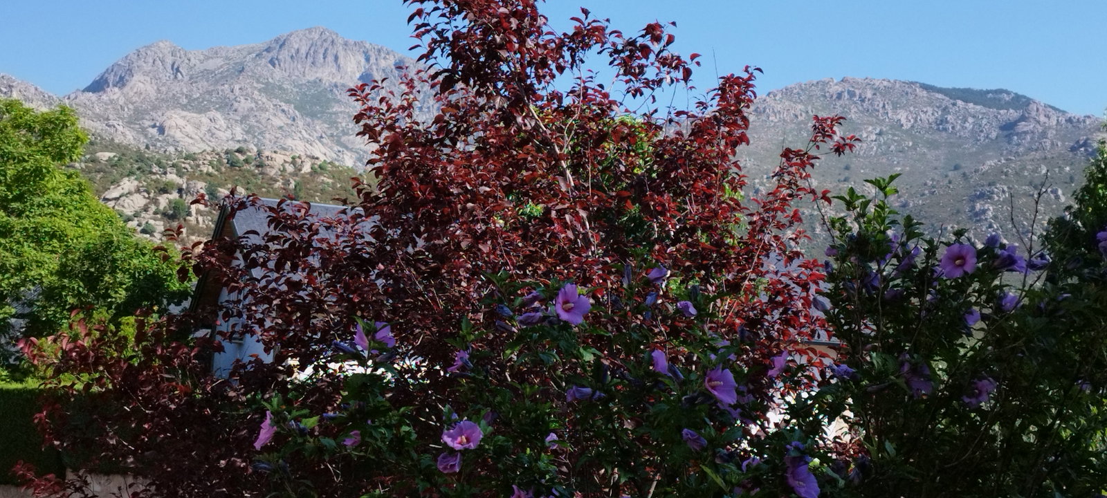 Homestay El Boalo 677908