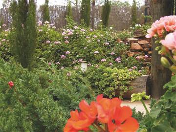 Logement Entier Calañas 257029-7