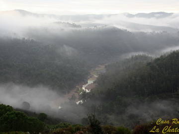 Stanza In Affitto Calañas 155587