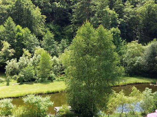 Chambre Chez L'habitant Taintrux 190312-2