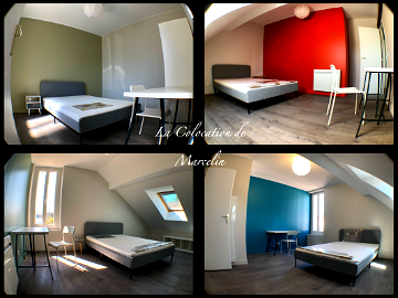 Room For Rent Fleury-Les-Aubrais 237235-1