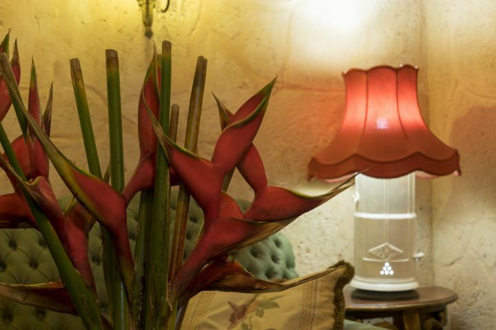 Homestay La Habana 202396