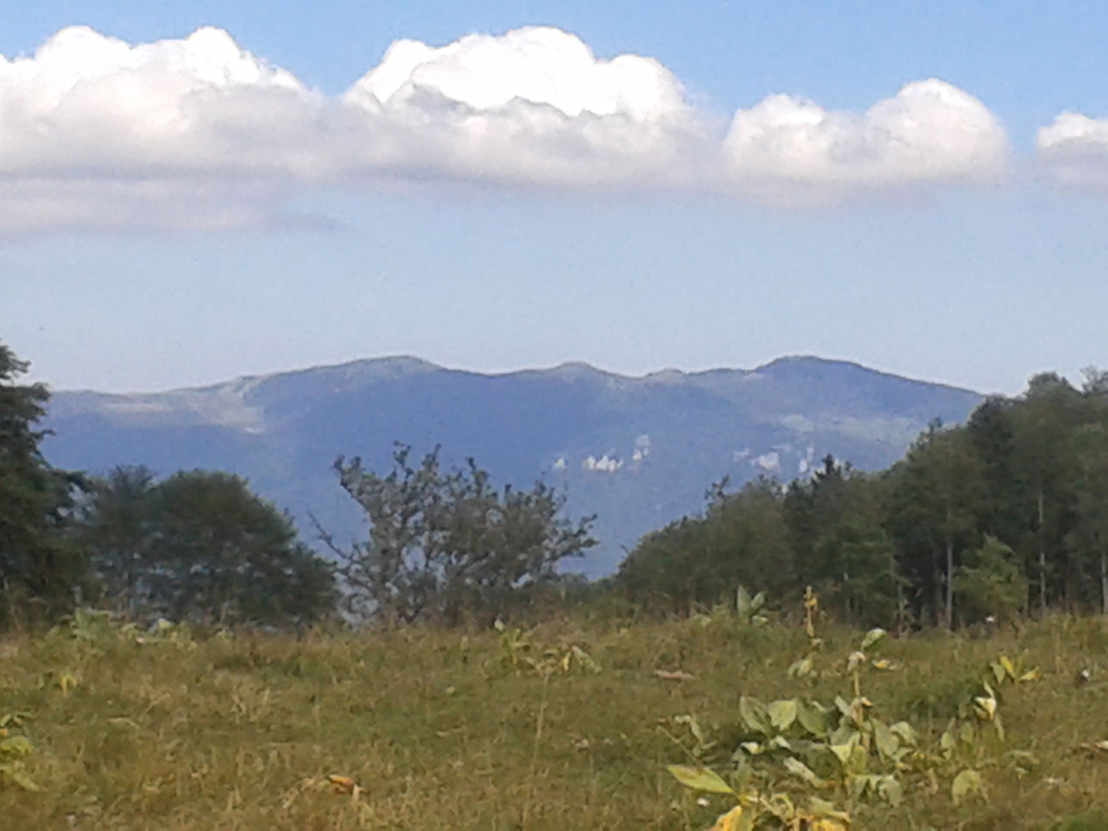 Unabhängiges Studio Les Neyrolles 182839