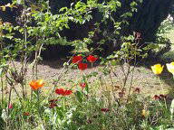 Gastfamilie Montchanin 446370-2