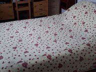 Gastfamilie Montchanin 446370-5