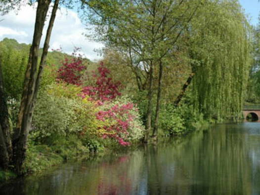 Chambres D'hôtes Douville-sur-Andelle 66944-3