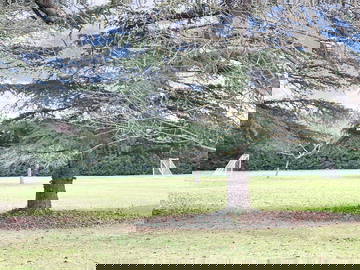 Logement Entier Le Plessis-Hébert 662356-30