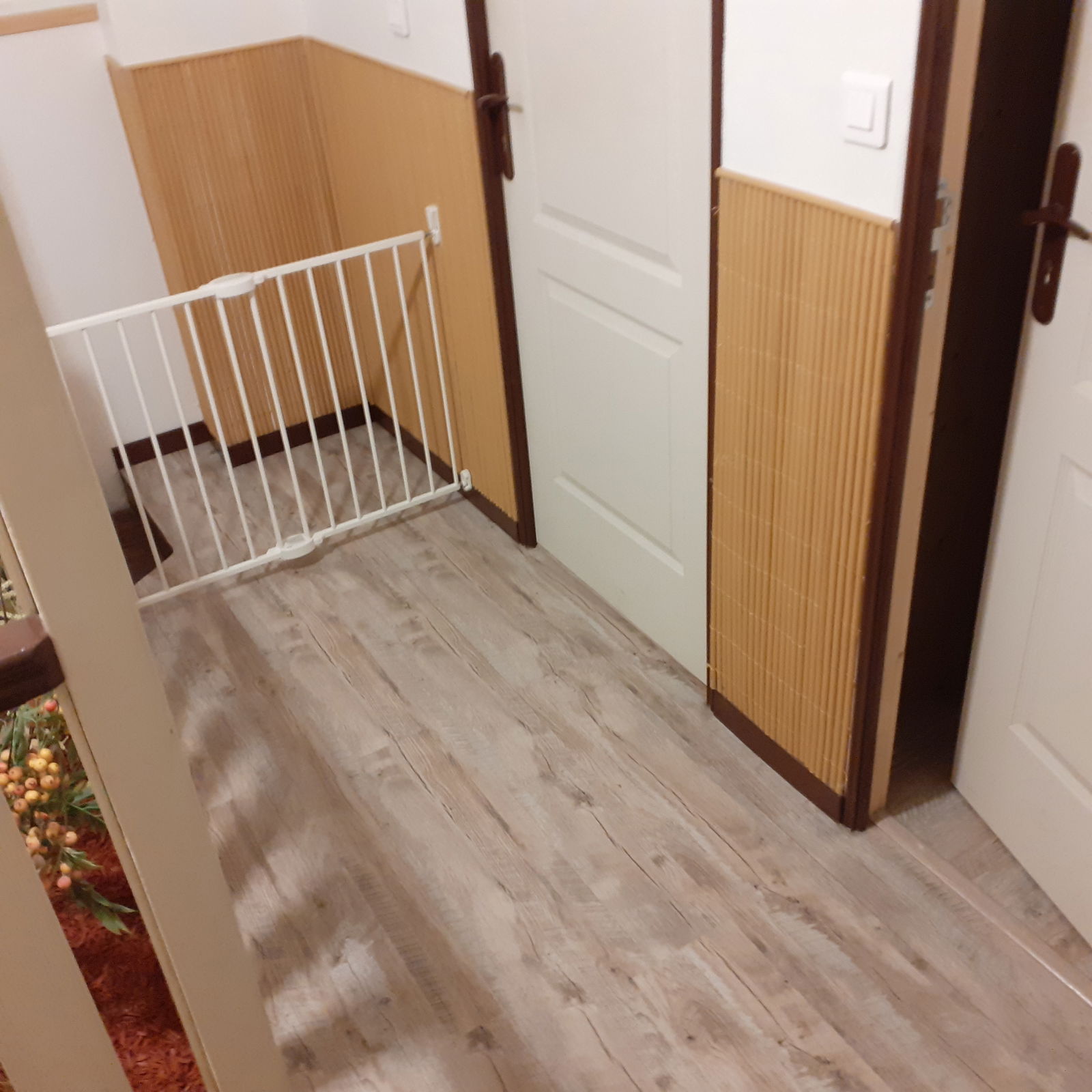 Quedarse En Casa Antigny 244229