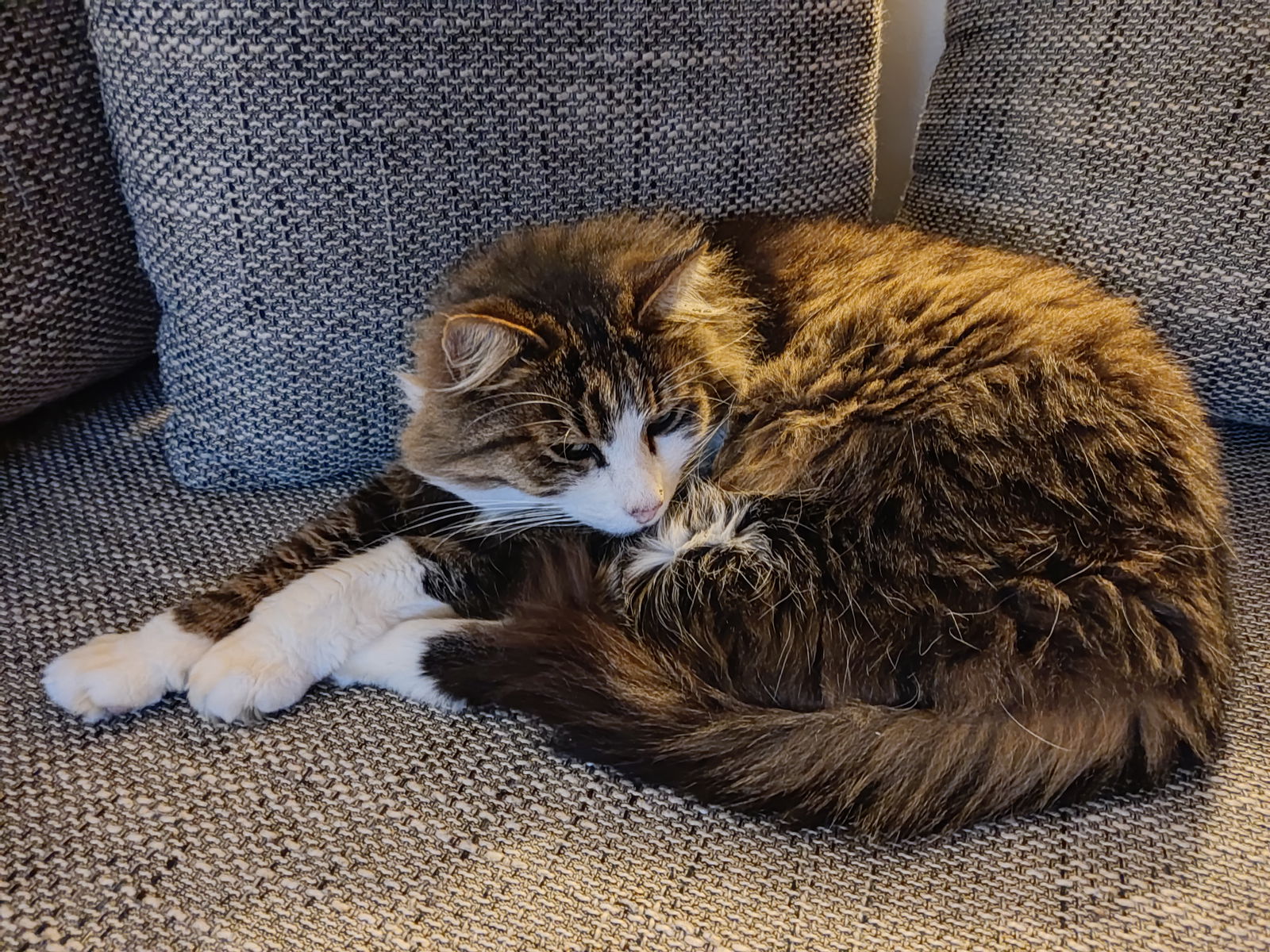 Quedarse En Casa Villefontaine 265718