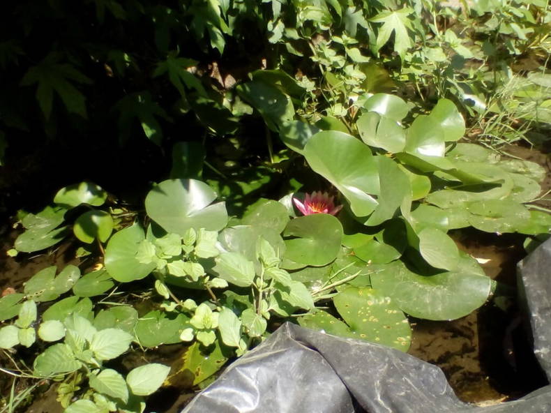 Quedarse En Casa Plémet 257187-3