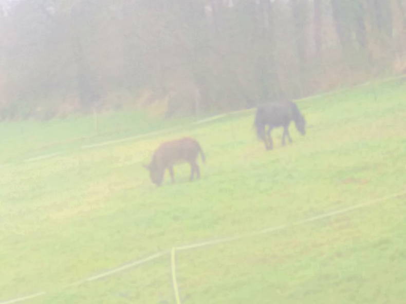 Quedarse En Casa Plémet 257187-4