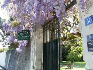 Chambre D'hôte Tours 63128-10