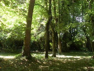 Chambre D'hôte Tours 63128-11