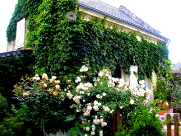 Chambre Chez L'habitant Beaumont-En-Véron 186004-2