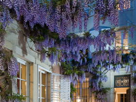 Bed And Breakfast Nancy 66465-2