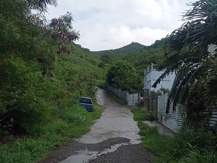 Gastfamilie Cole Bay 648987