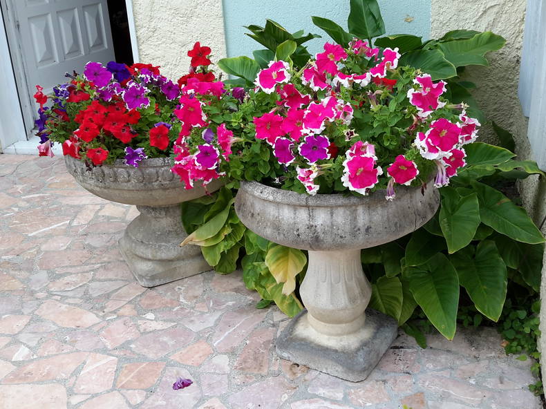 Quedarse En Casa Villers-Saint-Paul 147784-3