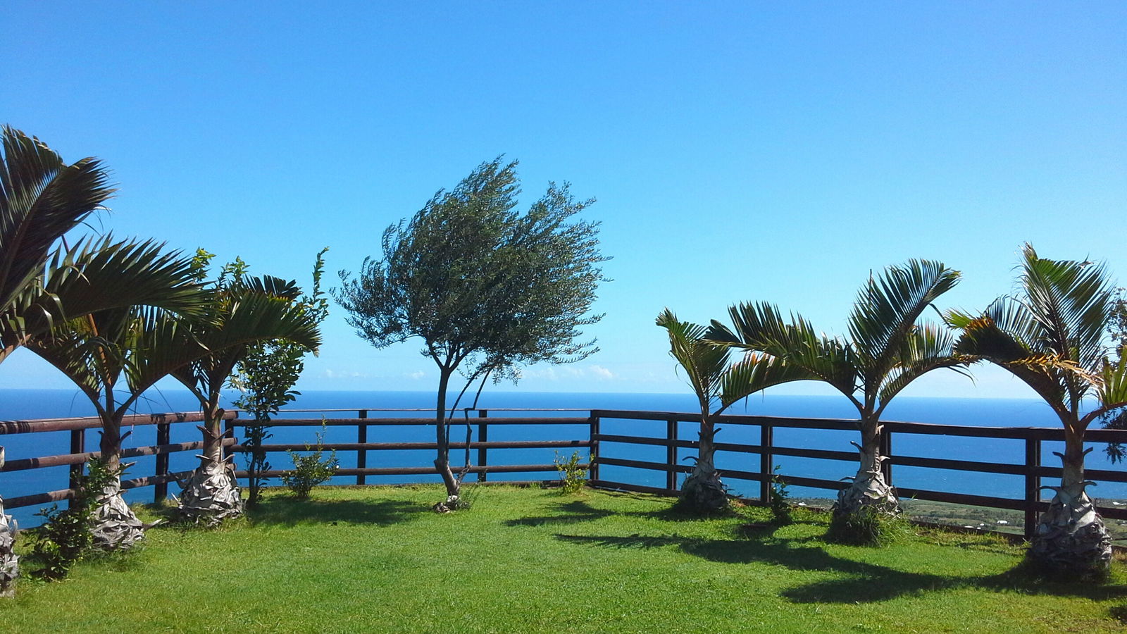 Studio Indépendant Piton Saint-Leu 96789