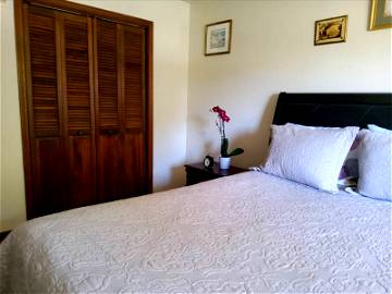 Roomlala | La maravillosa habitación en el área de Lisle/Naperville