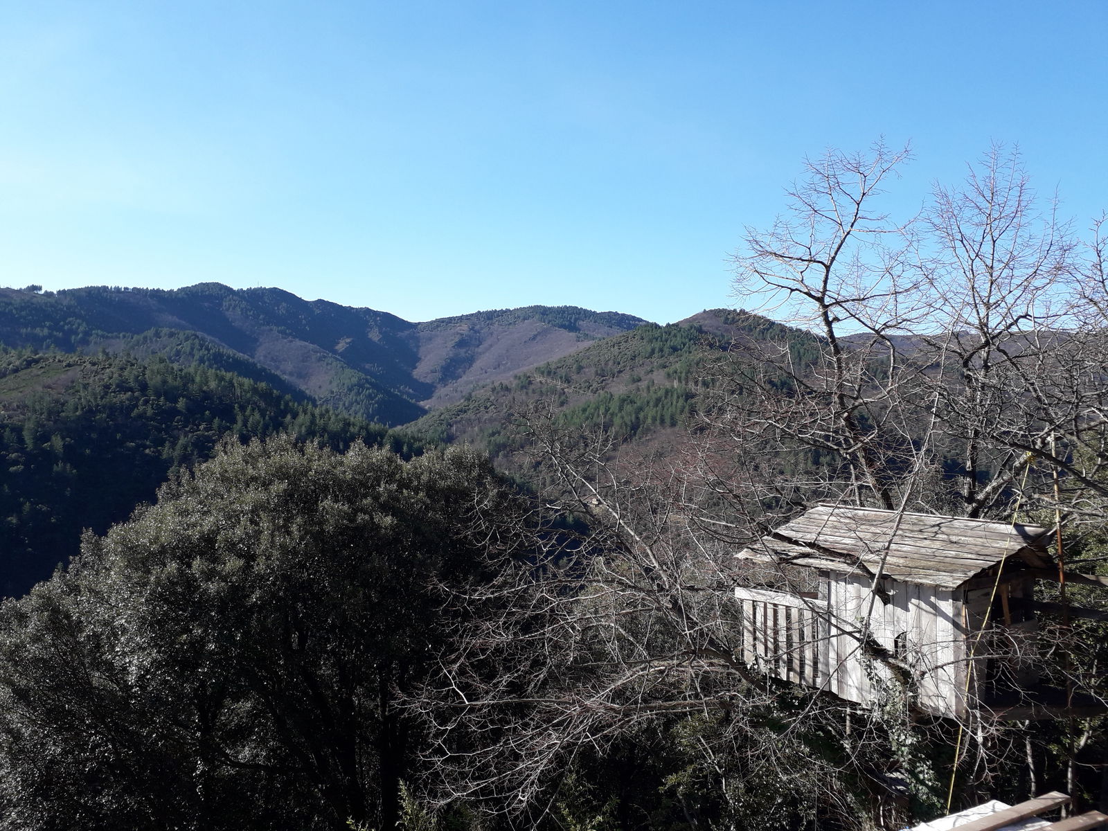 Famiglia Vialas 234818