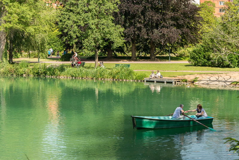 Famiglia Lyon 363267