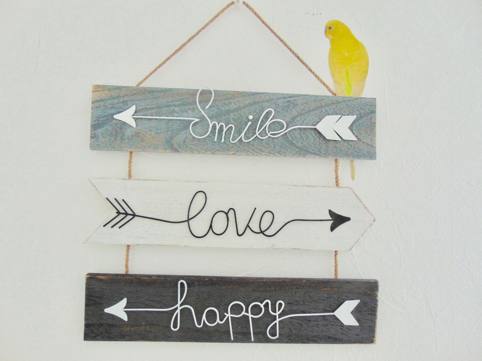 Famiglia Villeurbanne 205645