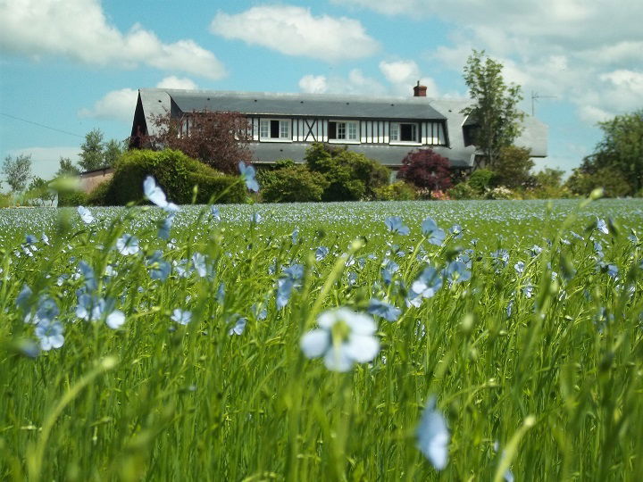 Pokoje Gościnne Hautot-l'Auvray 100954