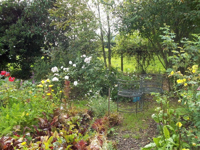 Pokoje Gościnne Hautot-l'Auvray 100954