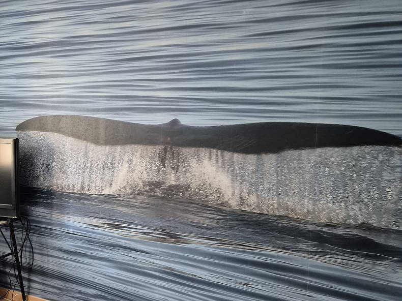 Chambre Chez L'habitant Orée d'Anjou 531124-4