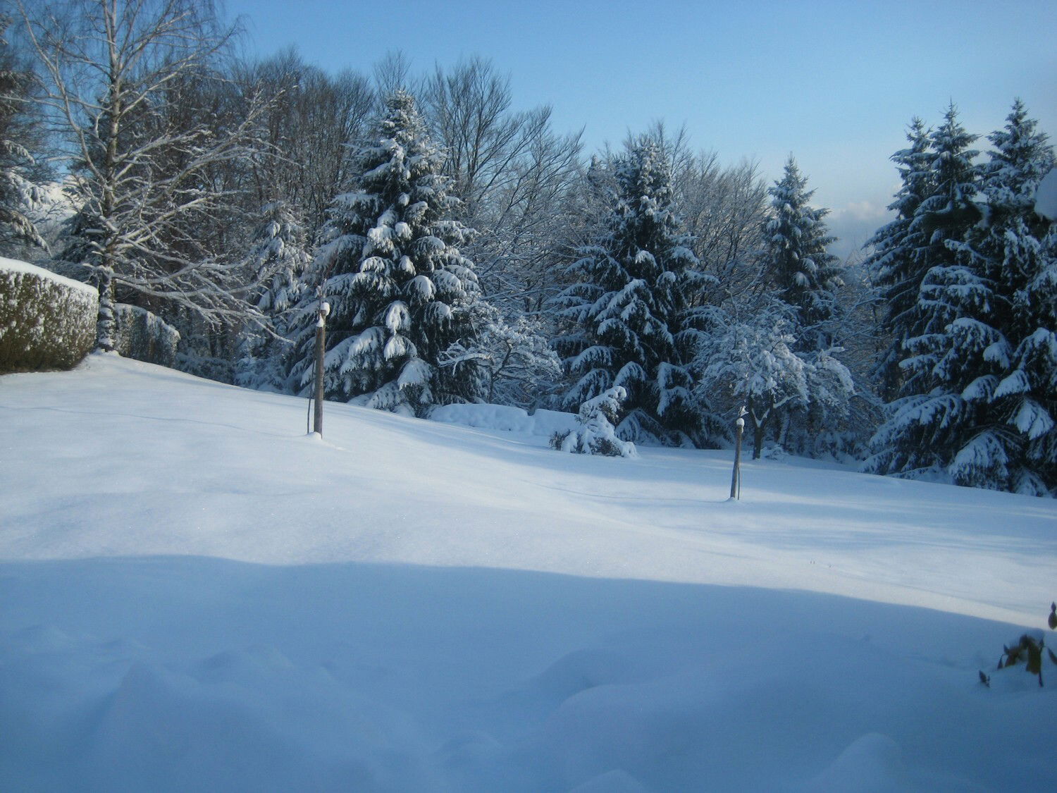 Habitaciones De Huéspedes Dabo 71580