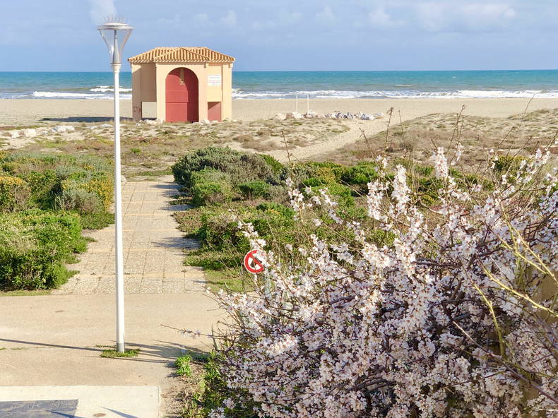 Gehele Woning Leucate 248069-5