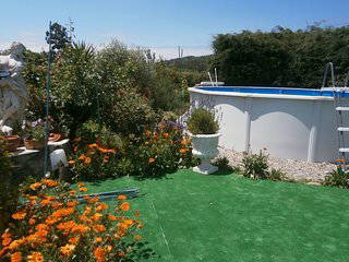 Toda La Casa Leiria 254570-1