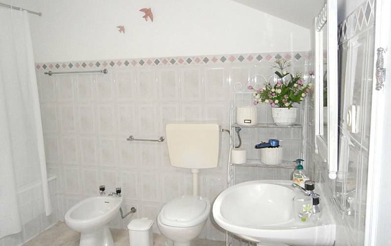 Toda La Casa Leiria 254570