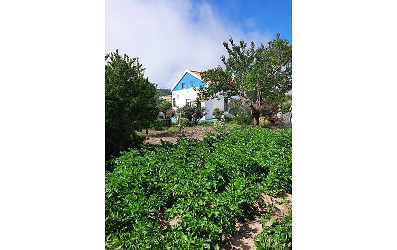 Toda La Casa Leiria 254570