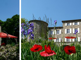 Bed And Breakfast Saint-Julien-Molin-Molette 66980-1
