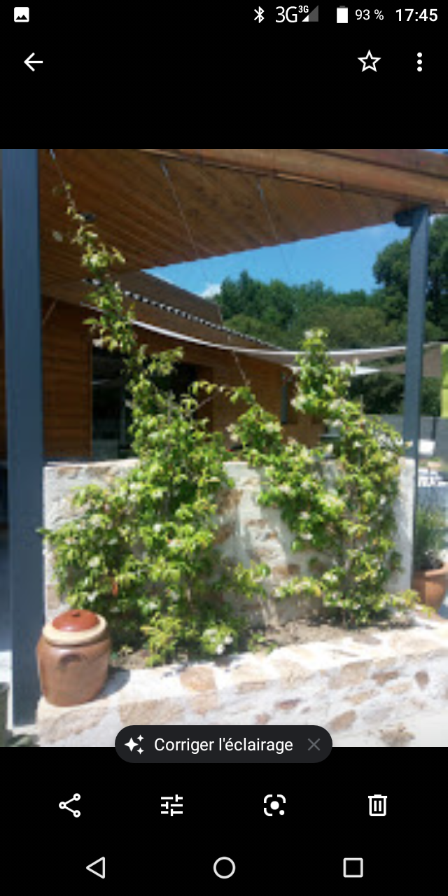 Famiglia Séreilhac 227239